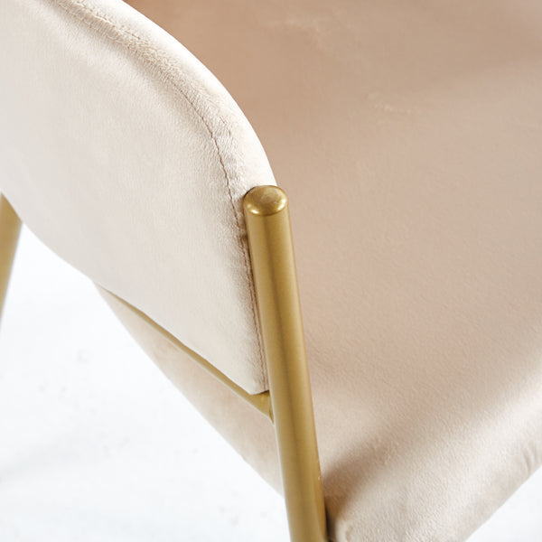 Jobi Cream Velvet Dining Chair