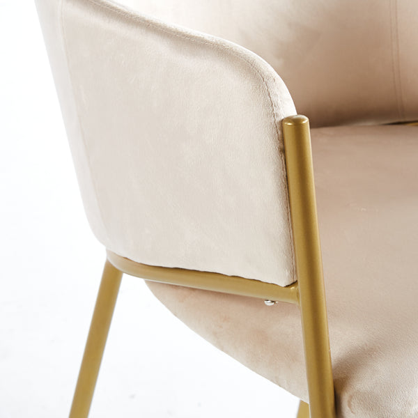 PRE-ORDER Jobi Cream Velvet Dining Chair