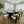 Luna Black Wood Oval Dining Table & Rio Bouclé Chairs Set