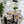 BOBA BOUCLE DINING CHAIR